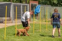 tag_des_hundes_2023_mitmachparcours_web-49